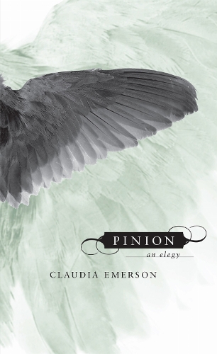 Pinion
