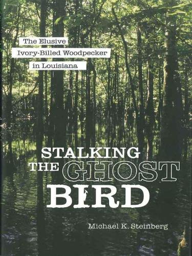 Stalking the Ghost Bird