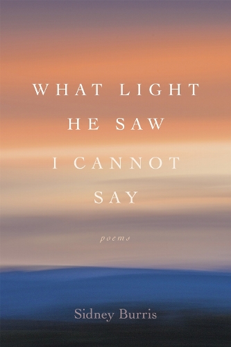 What Light He Saw I Cannot Say