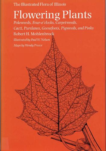 Flowering Plants: Pokeweeds, Four-o'clocks, Carpetweeds, Cacti, Purslanes, Goosefoots, Pigweeds, and Pinks