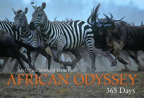 African Odyssey: 365 Days