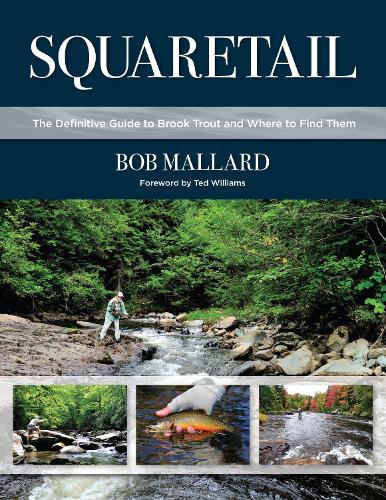 Squaretail