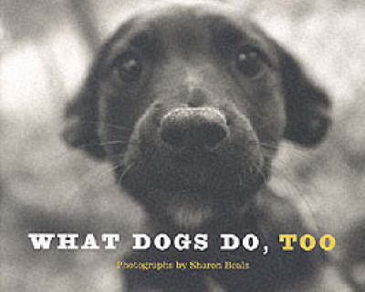 What Dogs Do, Too