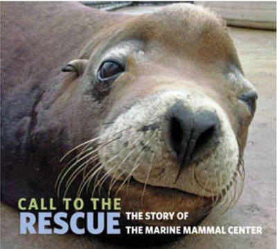 Call to the Rescue