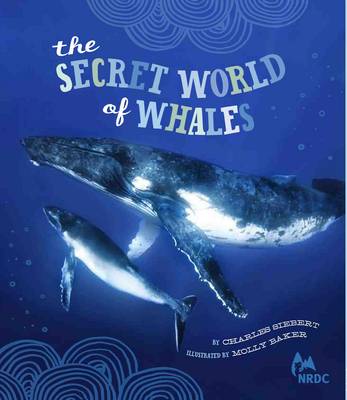 Secret World of Whales