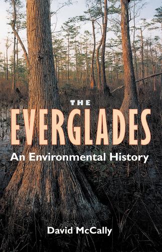 The Everglades