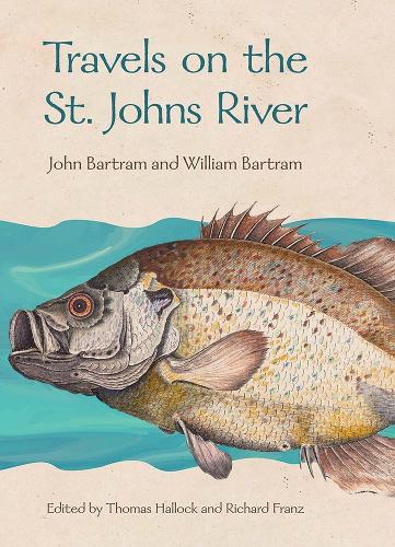 Travels on the St. Johns River