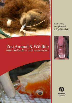 Zoo Animal and Wildlife
