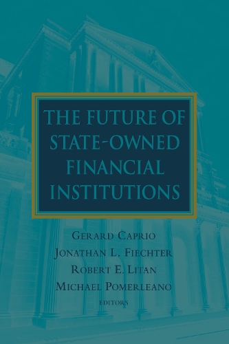 The Future of State-Owned Financial Institutions