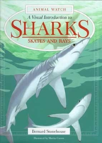 Sharks