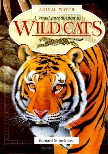 Wild Cats