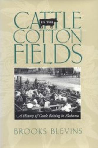 Cattle in the Cotton Fields