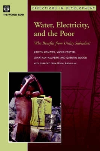 Water, Electricity, and the Poor