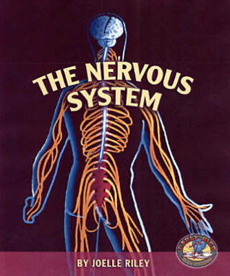 The Nervous System