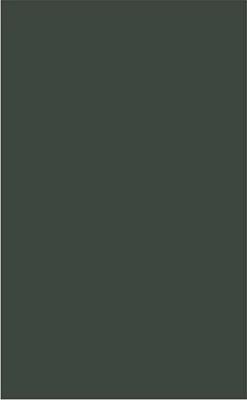 Milton Studies 29