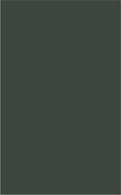 Milton Studies 48