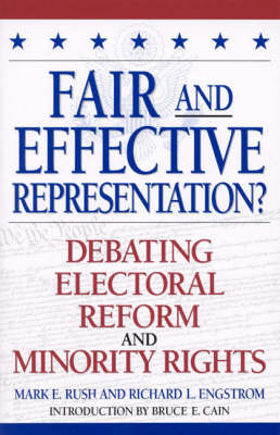 Fair and Effective Representation?