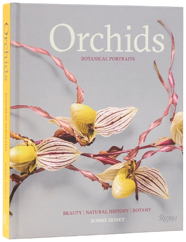 Orchids: Botanical Portraits