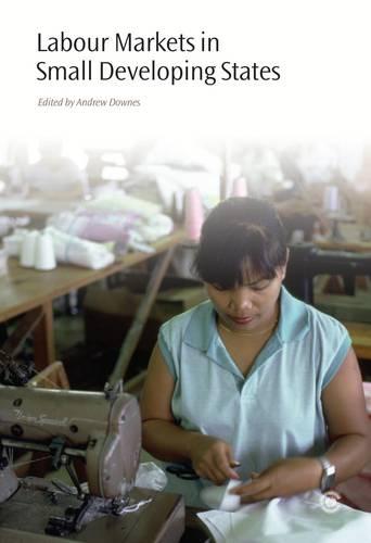 Labour Markets in Small Developing States