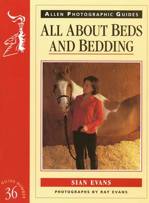 All About Beds and Bedding