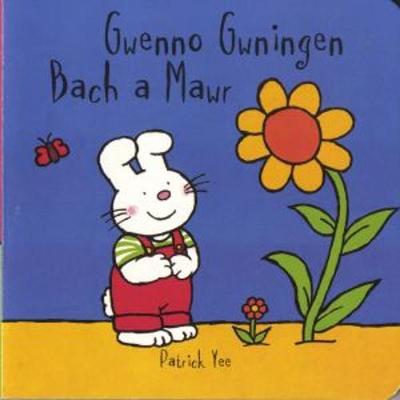 Gwenno Gwningen - Bach a Mawr