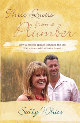 Three Quotes from a Plumber