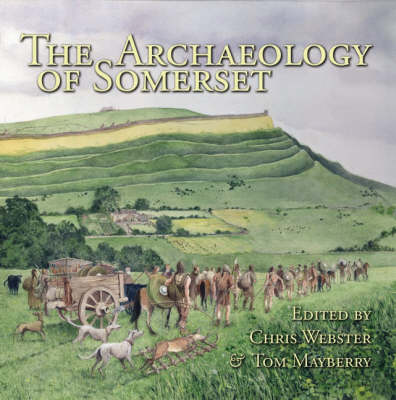 Archaeology of Somerset