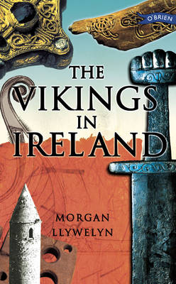 The Vikings in Ireland