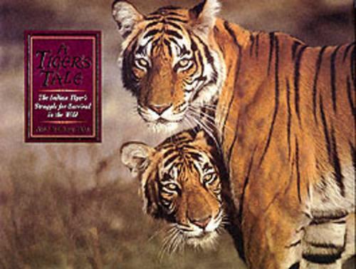 Tiger's Tale