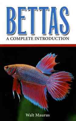 Bettas