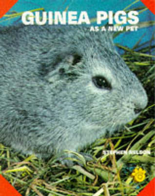 Guinea Pigs as a New Pet