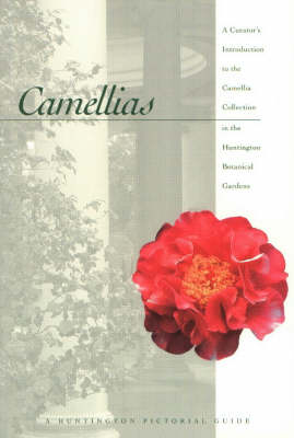 Camellias