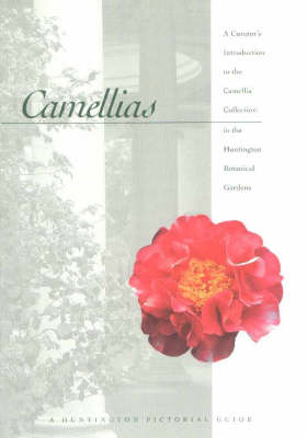 Camellias