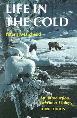 Life in the Cold