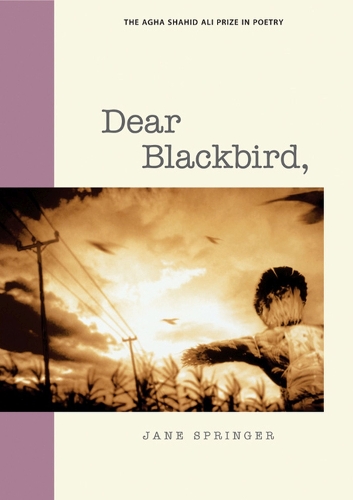 Dear Blackbird,