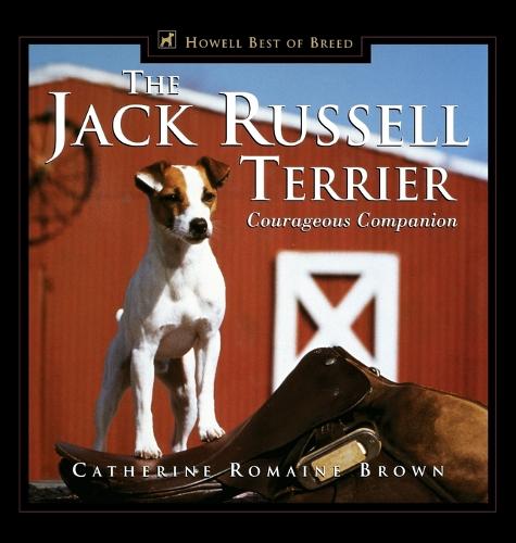 The Jack Russell Terrier