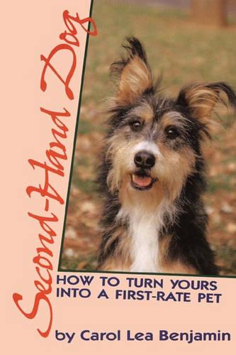 Second-Hand Dog
