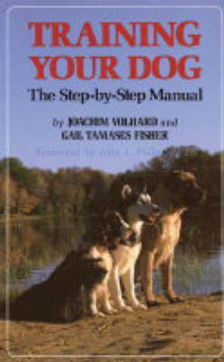 Training Your Dog