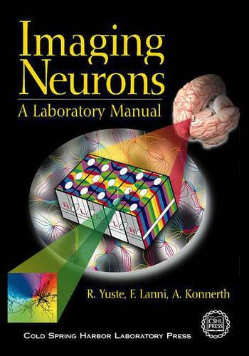 Imaging Neurons