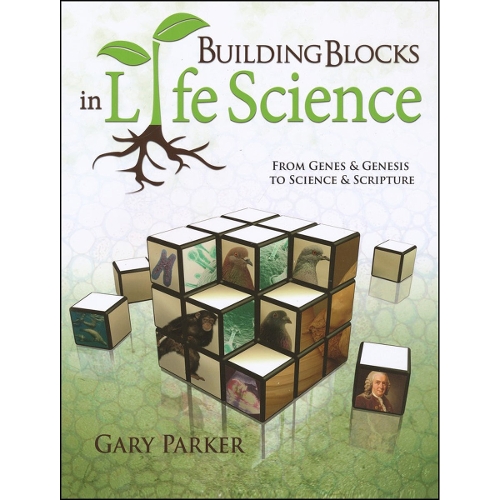 Building Blocks in Life Science