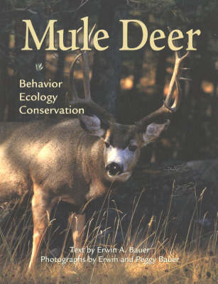 Mule Deer