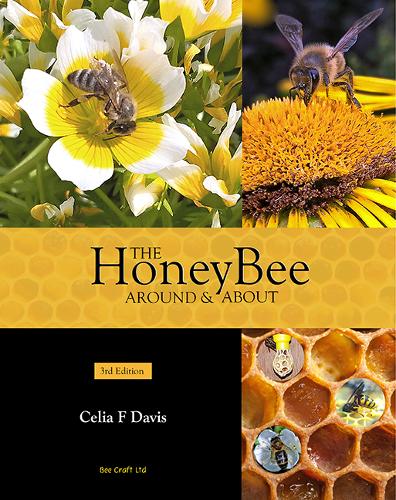 The Honey Bee Around and About
