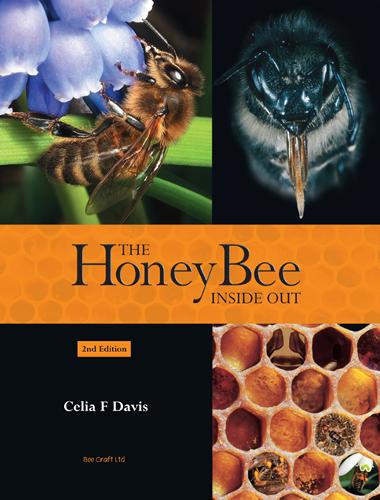 The Honey Bee Inside Out