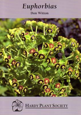 Euphorbias