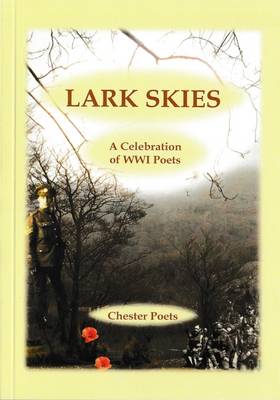 Lark Skies