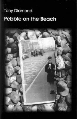 Pebble on the Beach