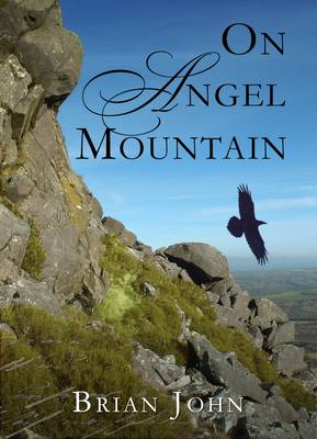 On Angel Mountain