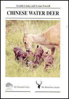 Chinese Water Deer