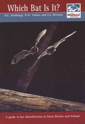 Which Bat is It?