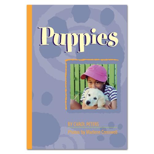 Puppies